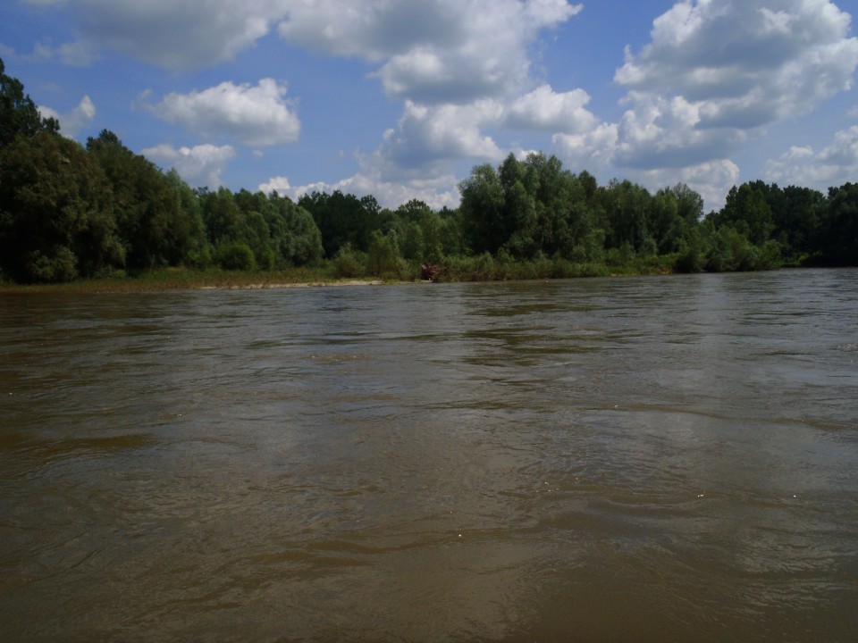 20180527 Spust po Muri-Dimek - foto povečava