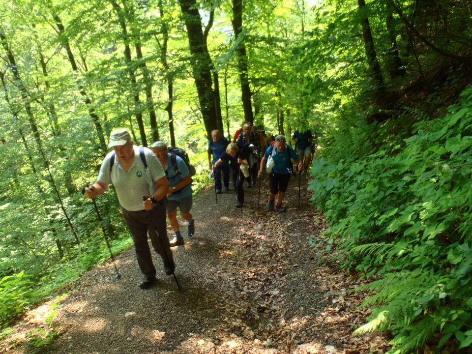 20180602 Čreta - MDO usposabljanje - foto povečava