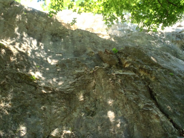 20180602 Čreta - MDO usposabljanje - foto