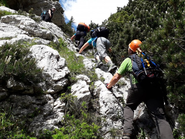 20180610 Brana čez Bosovo grapo in Kaptana - foto