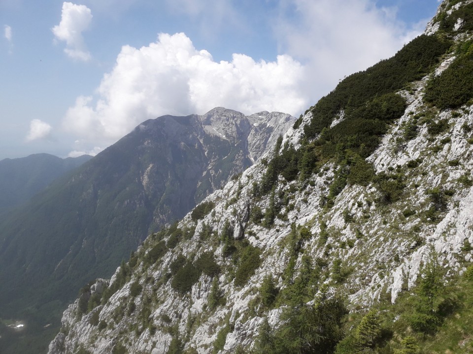 20180610 Brana čez Bosovo grapo in Kaptana - foto povečava