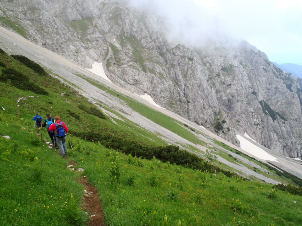 V smeri Planjave na melišče in spust.