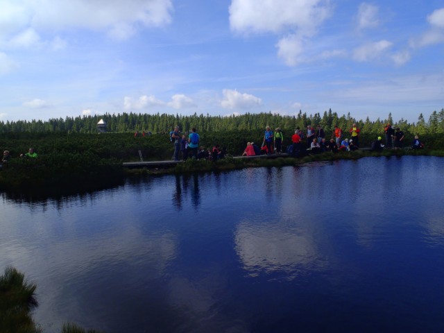 20180616 Dan SLO planinskih doživetij-Rogla - foto