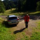 Naravske ledine