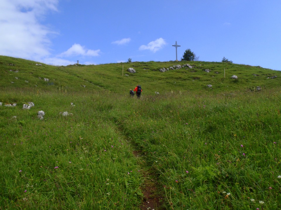 Prihod na grebenski del Uršike.