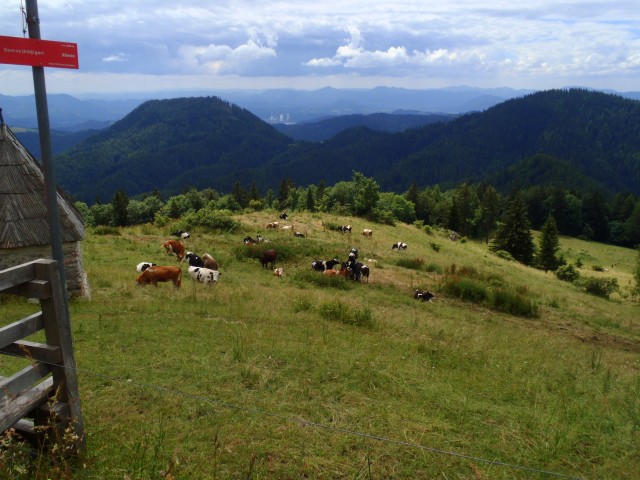 Pašnik, daleč v ozadju Štore in teši.