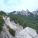 Prečenje Ljubeljščice.