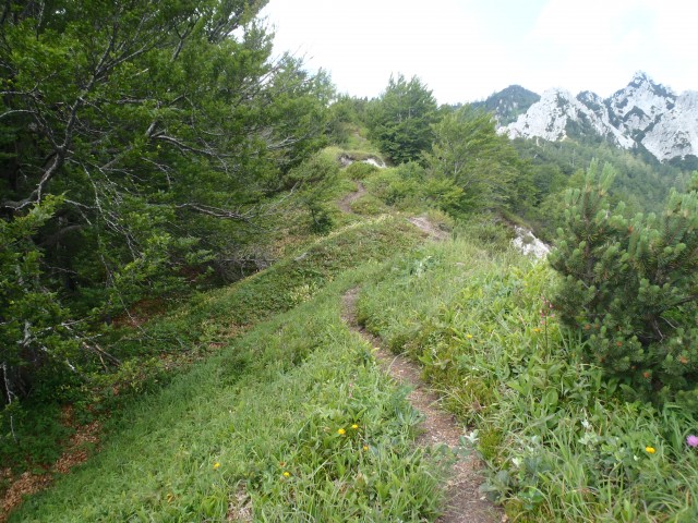 20180701 Ljubeljščica-Zelenjak-Palec-Zelenica - foto