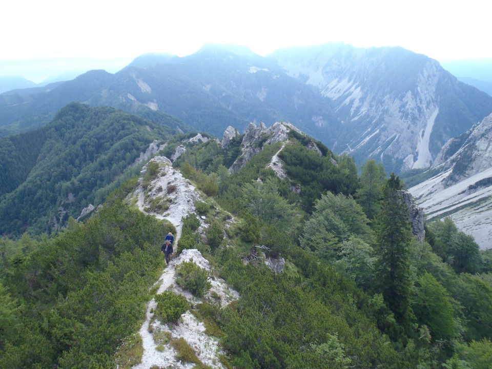 20180701 Ljubeljščica-Zelenjak-Palec-Zelenica - foto povečava