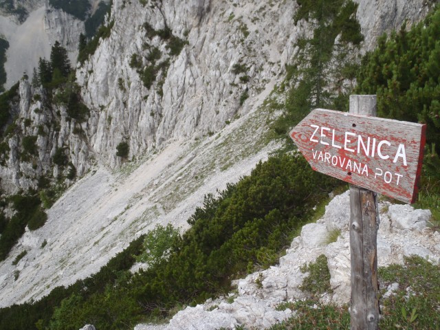 20180701 Ljubeljščica-Zelenjak-Palec-Zelenica - foto