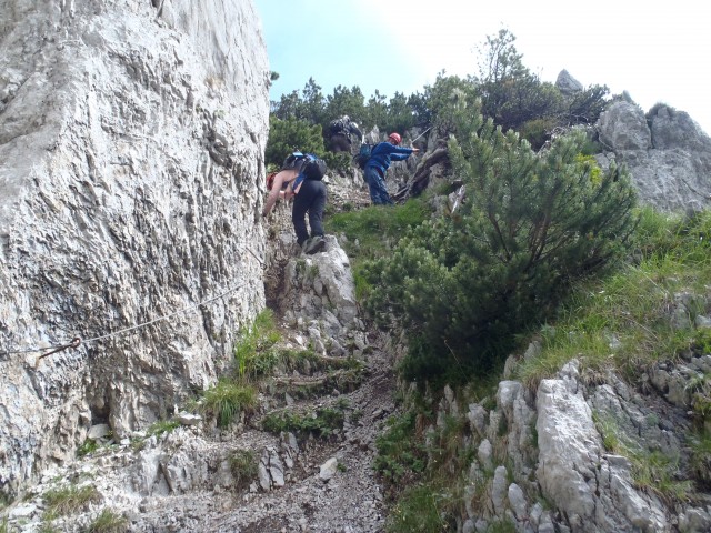 20180701 Ljubeljščica-Zelenjak-Palec-Zelenica - foto