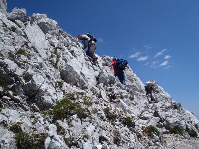 20180701 Ljubeljščica-Zelenjak-Palec-Zelenica - foto