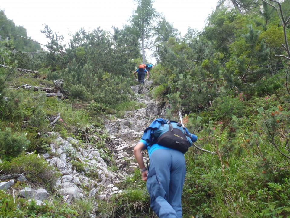 20180708 Storžič, Žrelo-Bašeljski,Kališče - foto povečava