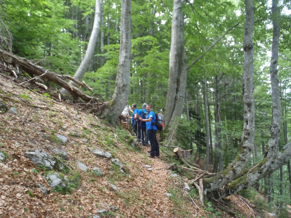 20180708 Storžič, Žrelo-Bašeljski,Kališče - foto povečava