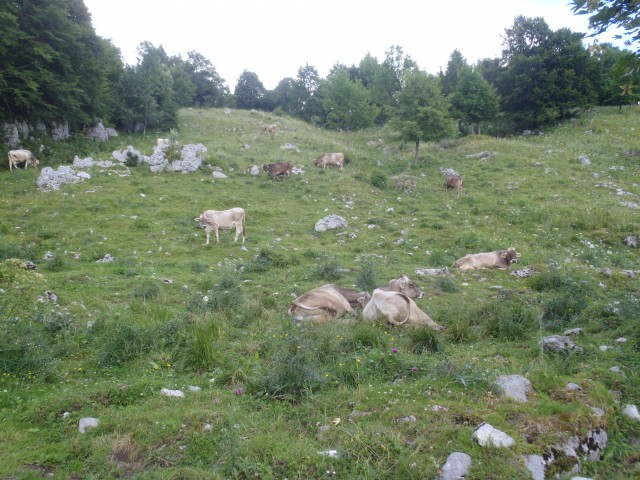 20180713 Matajur, Avsa-Matajur-Svino - foto