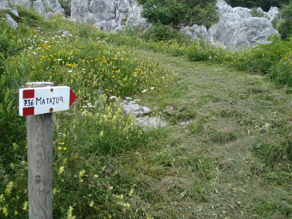 20180713 Matajur, Avsa-Matajur-Svino - foto povečava