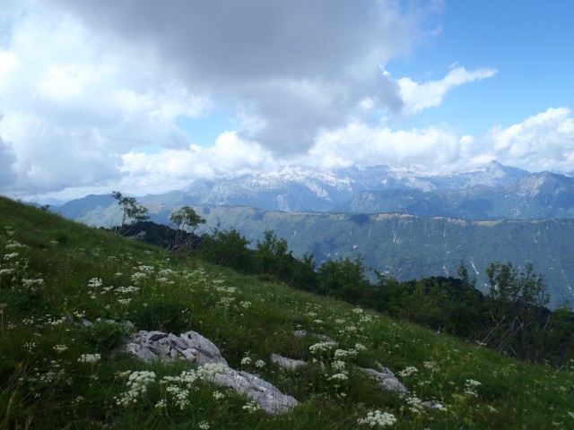 20180713 Matajur, Avsa-Matajur-Svino - foto