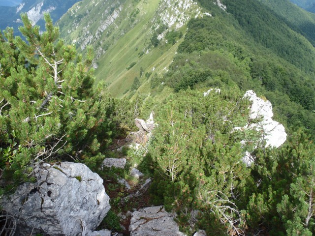 20180714 Breginj-Stol-Ribežni-Muzec - foto