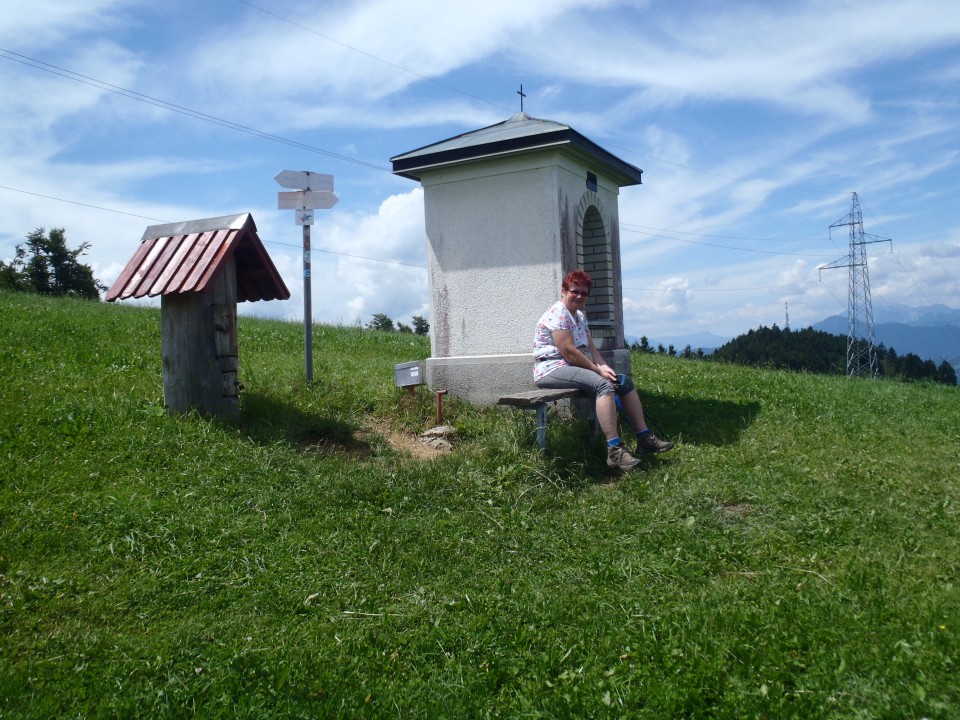 20180716 Bevkov vrh in Sivka - foto povečava