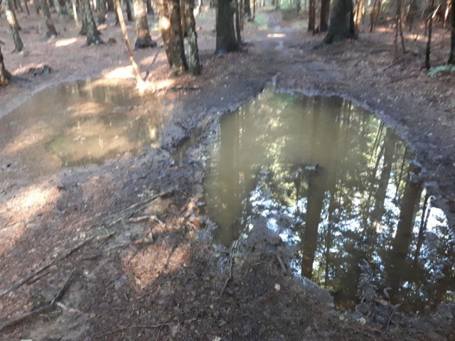 20180726 Ruška-Klopni-Pesek-Ribniška - foto