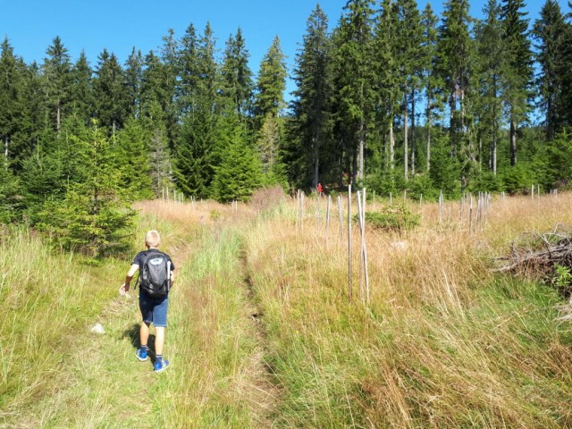 20180726 Ruška-Klopni-Pesek-Ribniška - foto