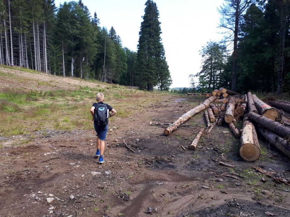 20180726 Ruška-Klopni-Pesek-Ribniška - foto povečava