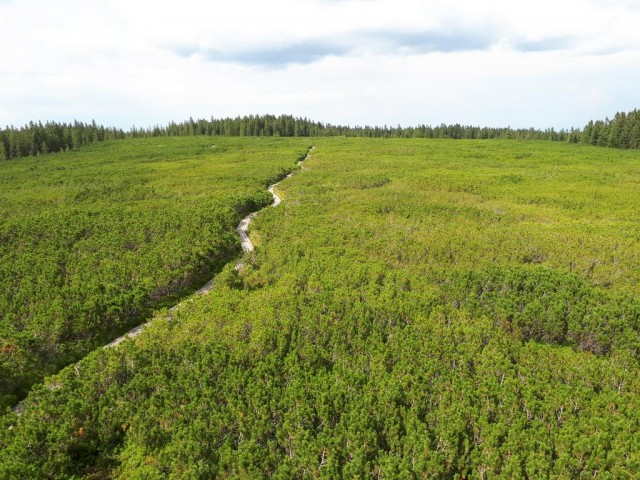 20180726 Ruška-Klopni-Pesek-Ribniška - foto