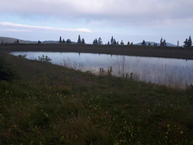 20180727 Ribniška-Kope-Kremžar.-Legen - foto