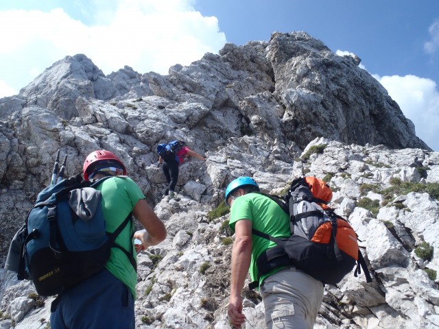 20180729 Razpotje-Ojstrica-Planjava-Kamniško. - foto