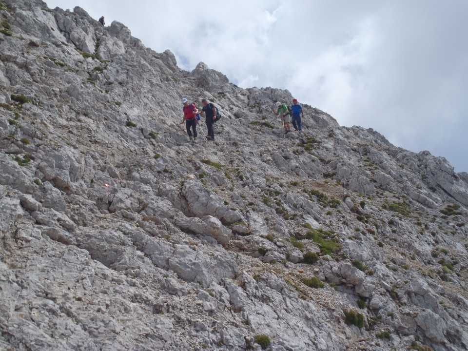 20180729 Razpotje-Ojstrica-Planjava-Kamniško. - foto povečava