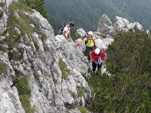 20180804 Peca - gor po plezalni  - foto