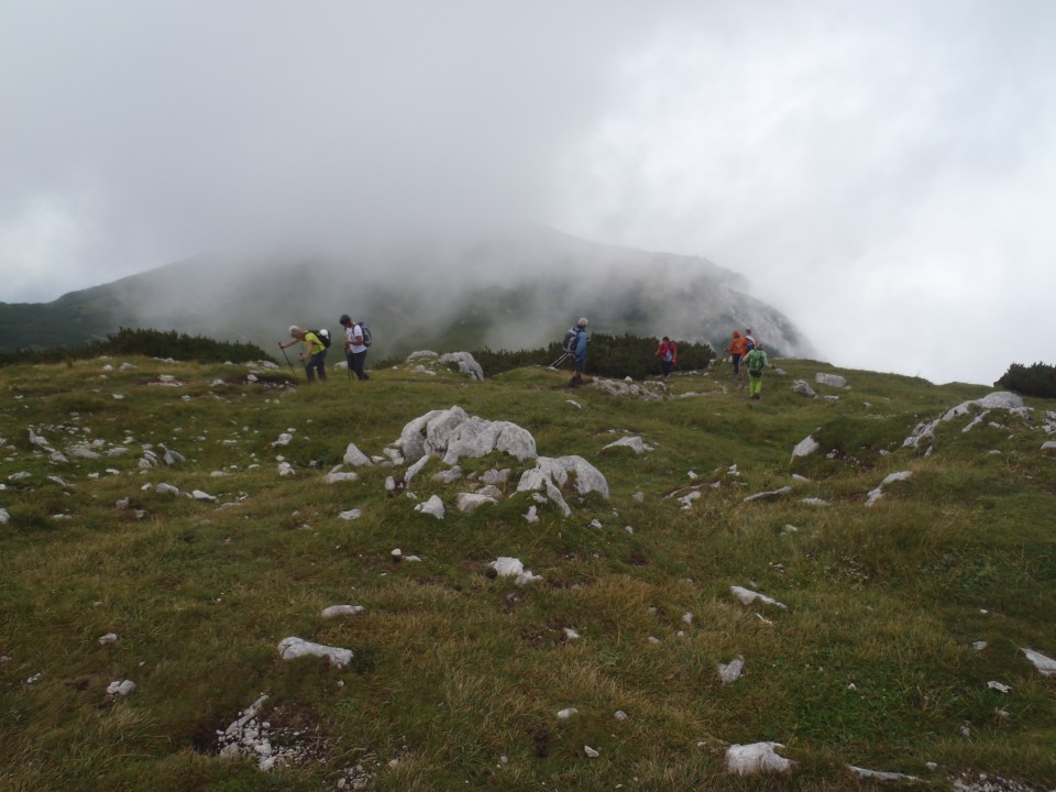 20180804 Peca - gor po plezalni  - foto povečava