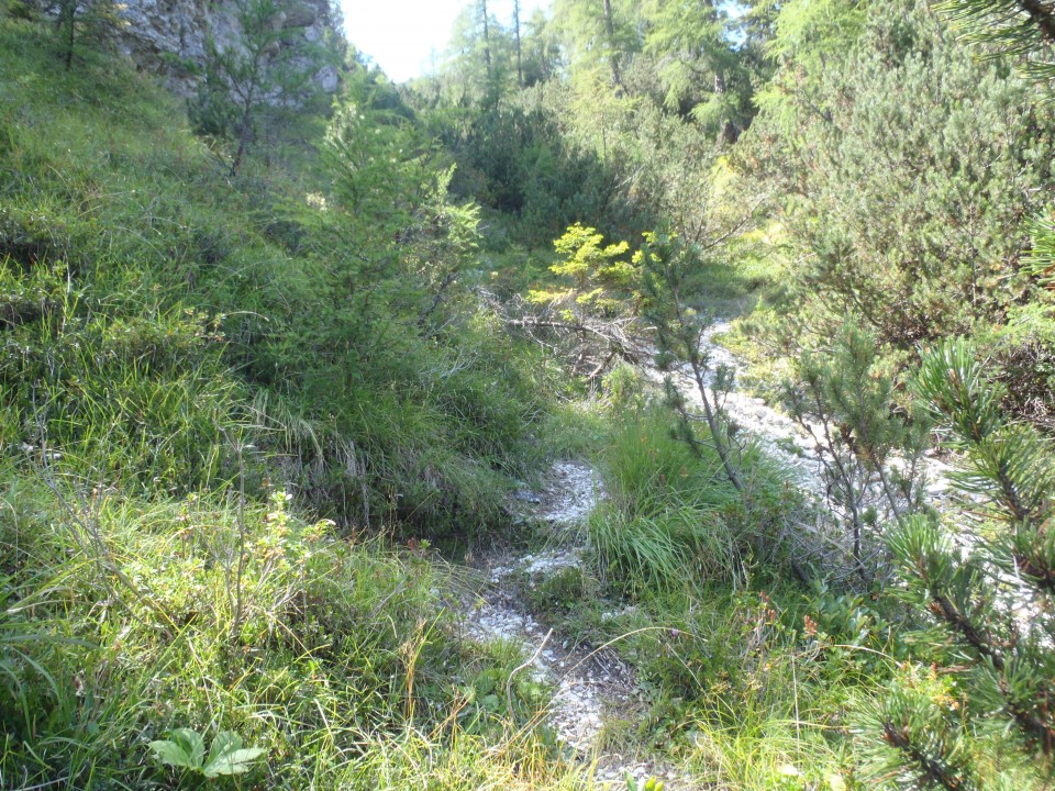 20180812 Fer-Mojstrana,Hvadnik, ter Kurji vrh - foto povečava