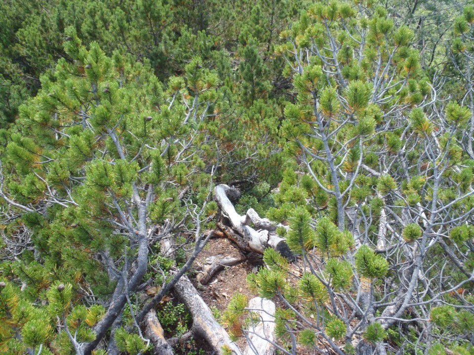 20180812 Fer-Mojstrana,Hvadnik, ter Kurji vrh - foto povečava