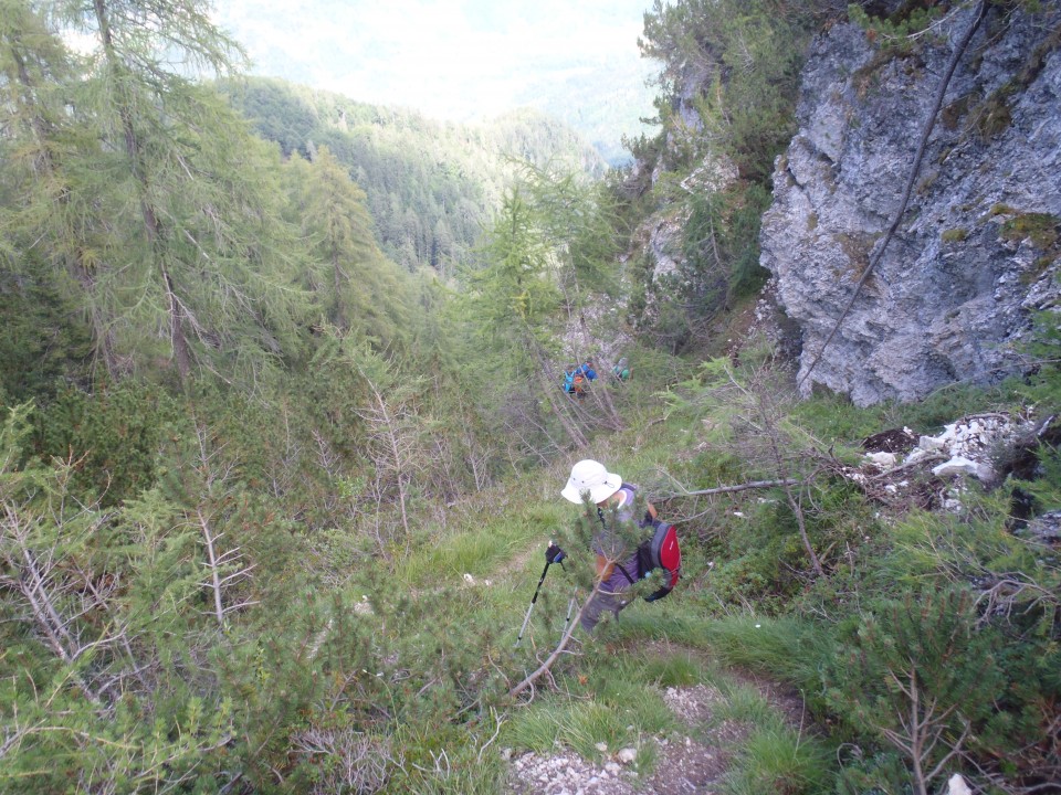 20180812 Fer-Mojstrana,Hvadnik, ter Kurji vrh - foto povečava