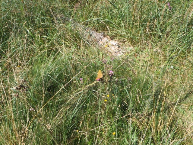 20180822 Trije kralji,Osankarica,Trije Žeblji - foto