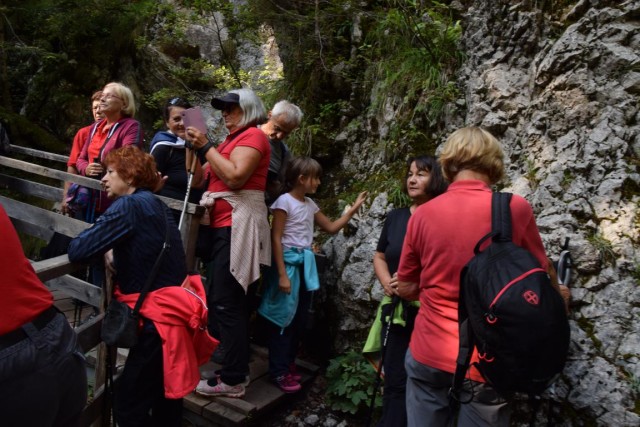 20180909 Mojstrana,Grmada foto Lado Klar - foto