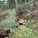 Malo križarjenja po brezpotju pred Hojnikovo potjo na Lanež