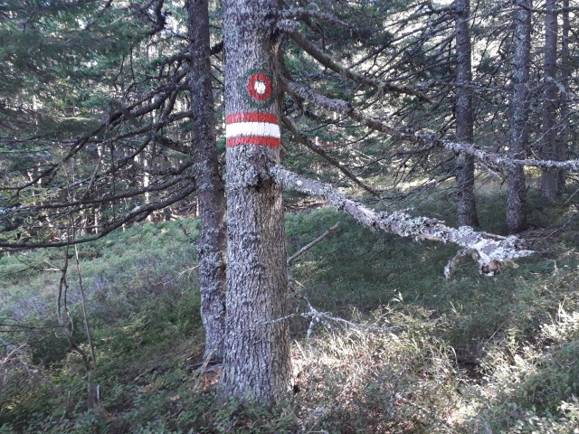 20180930 Košenjak z gobarjenjem - foto