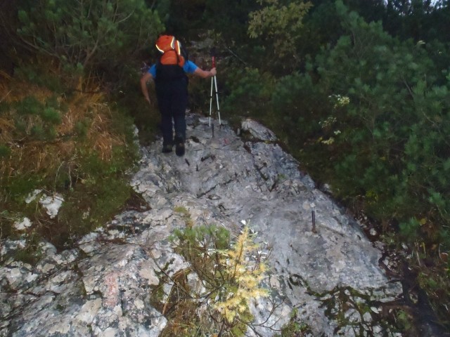 Pot Kot - Stanič.