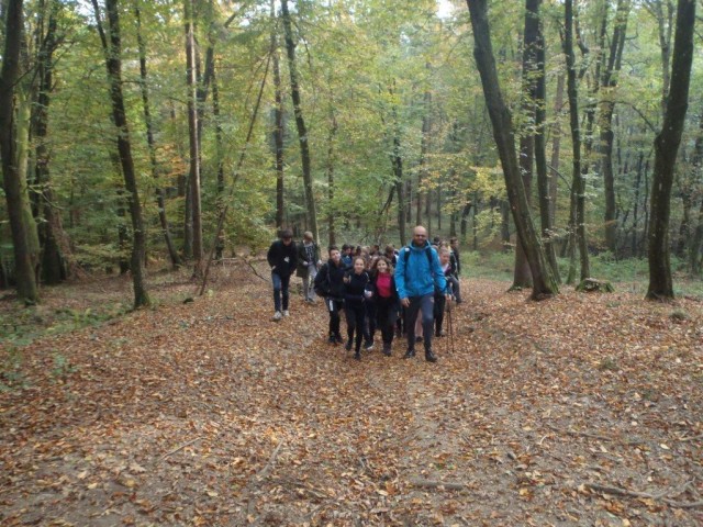20181016 OŠ II MS na Serdiškem bregu - foto