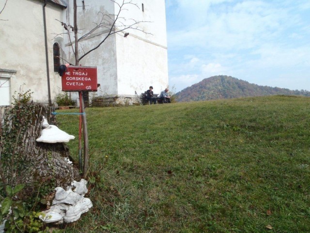 20181018 Lisca in Lovrenc - foto