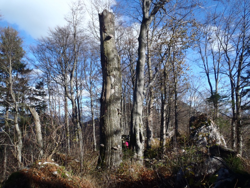 20181031 Sv.Jošt Basališče - foto povečava