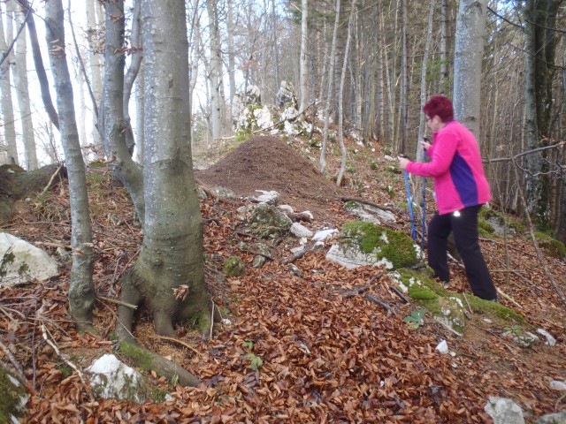 20181031 Sv.Jošt Basališče - foto