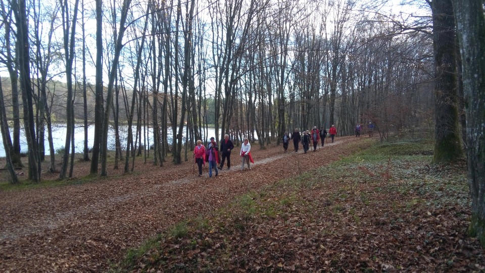 20181111 Martinov pohod v Strehovskih goricah - foto povečava