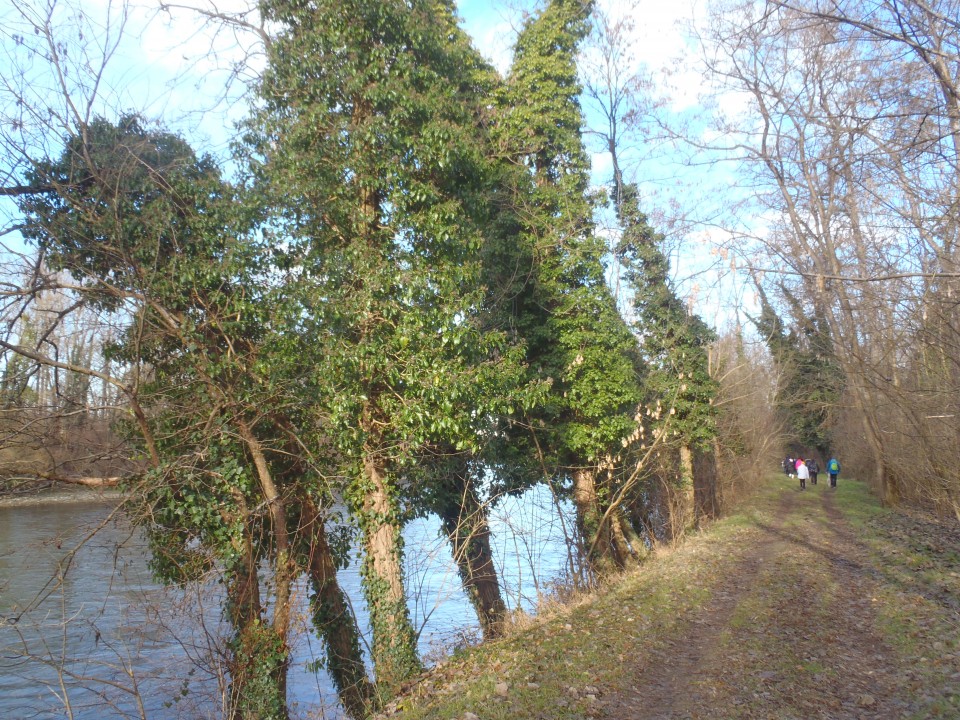 20190102 Prvi novoletni krožni pohod ob Muri - foto povečava