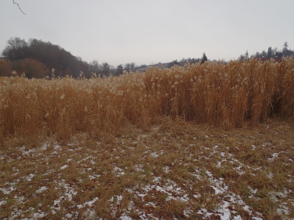 20190105 Pohod dr. antona trstenjaka - foto povečava