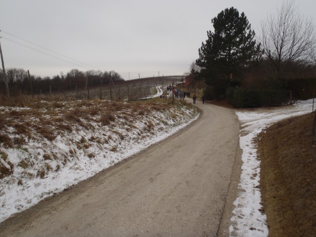 20190105 Pohod dr. antona trstenjaka - foto