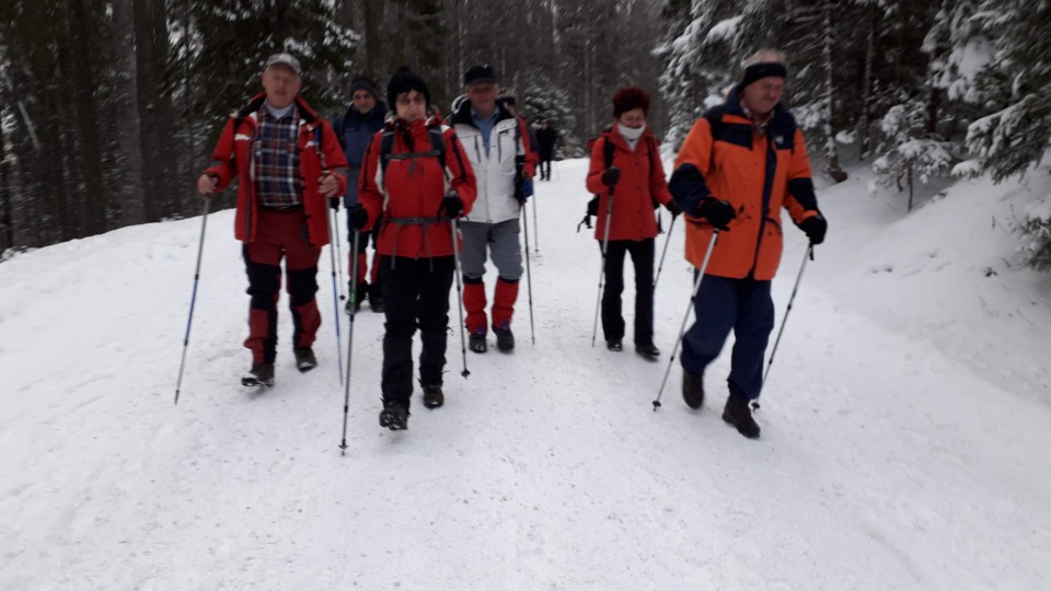 20190112 Osankarica - foto povečava