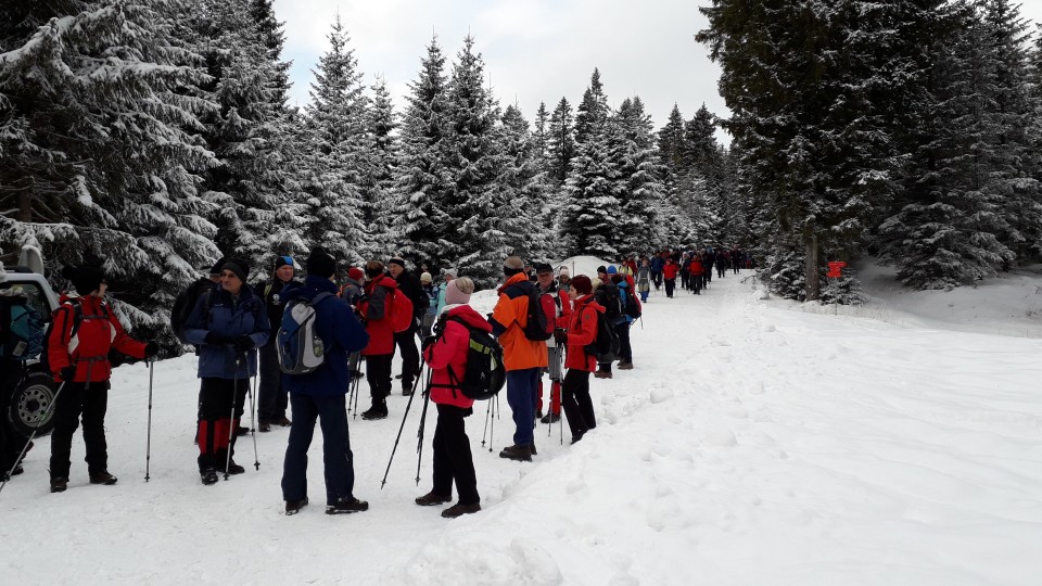 20190112 Osankarica - foto povečava